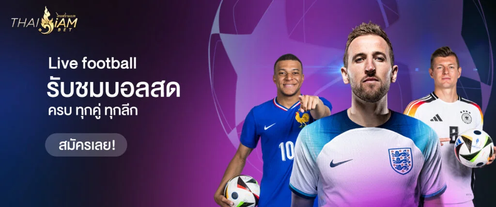 สิทธิ์รับชมบอลสด ชมบอลสด ครบทุกลีก จบเราที่เท่านั้น